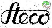 Steco .jpg